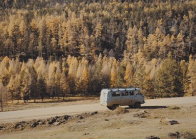 Taiga forest in autumn