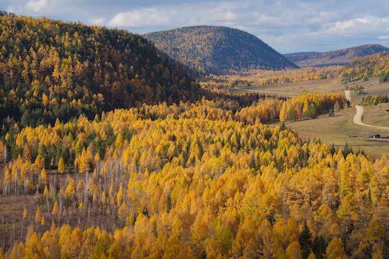 Autumn in Siberia Lake Baikal Tajga Forest